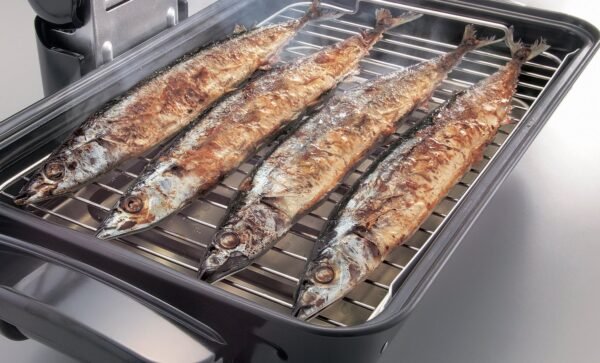 81UrhLhZbfL._AC_SL1488_ Zojirushi EF-VPC40 Fish Roaster review featuring smoke-reducing filter and crisp cooking